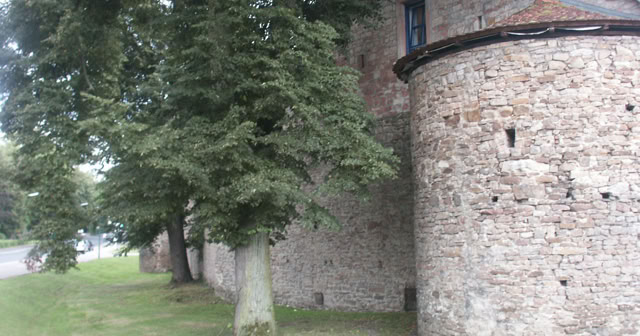 Bad Orb. Germany 2009. Culture/Nature. Photo: A.A.Bispo©