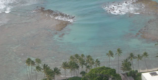 Oahu. Hawaii 2010. Culture/Nature - Global Studies. Photo A.A.Bispo|