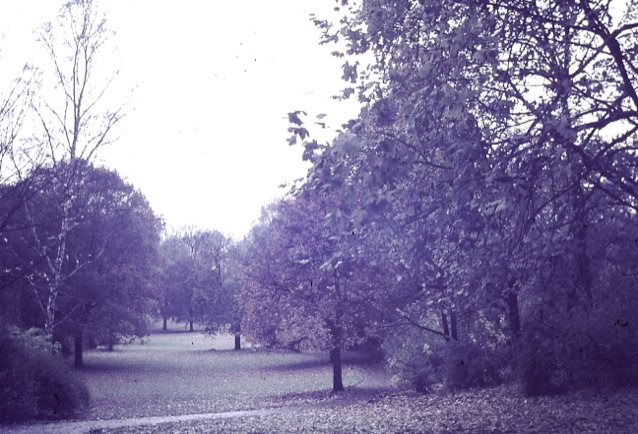 Lueneburg. Germany 1974. Global Studies: Culture/Nature. Photo A.A.Bispo©