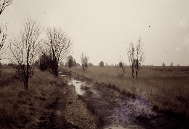 Luenebur Heath. Germany 1974. Global Studies: Culture/Nature. Photo A.A.Bispo©