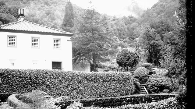 Madeira 1989 Global Studies: Culture/Nature. Photo: A.A.Bispo©