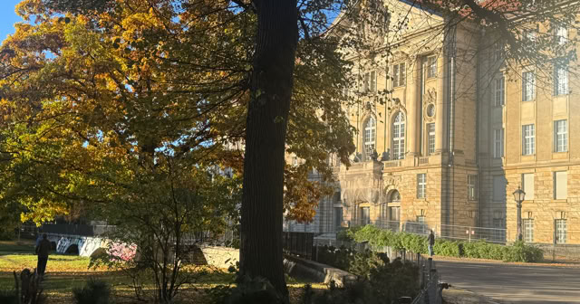 Berlin. Kleist Parc. 2025. Culture/Nature - Global Studies. Photo: A.A.Bispo©
