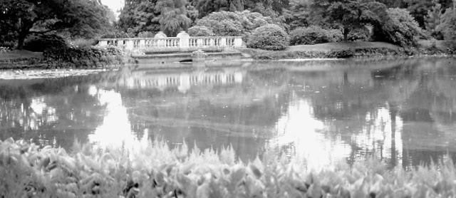 Sheffield Park 1988. Global Studies: Culture/Nature. Photos A.A.Bispo©