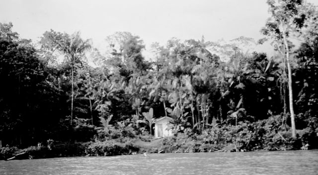 Amazonas 1993. Global Studies: Cultture/Nature. Photo: A.A.Bispo©