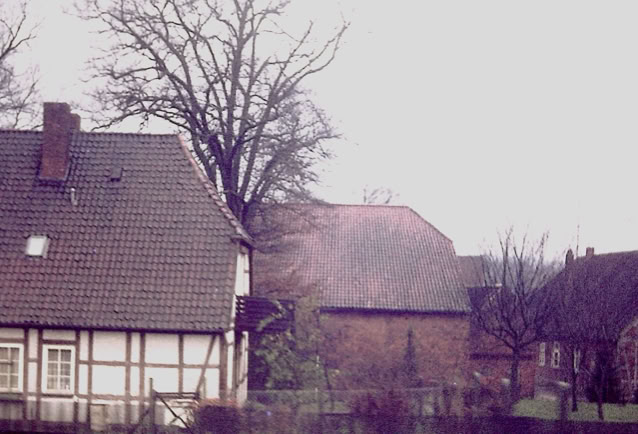 Lueneburg. Germany 1974. Global Studies: Culture/Nature. Photo A.A.Bispo©