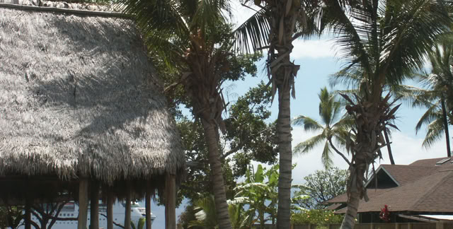 Maui. Hawaii. 2010. Culture/Nature - Global Studies. Photo: A.A.Bispo©