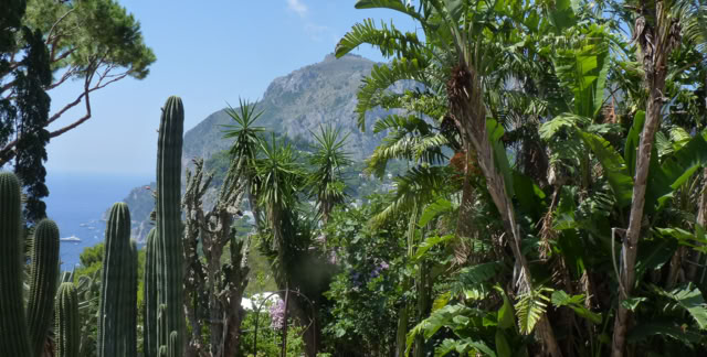 Capri, Italy 2014. Culture/Nature -.Global Studies. Topic: nature, mythology, music, cultural traditions