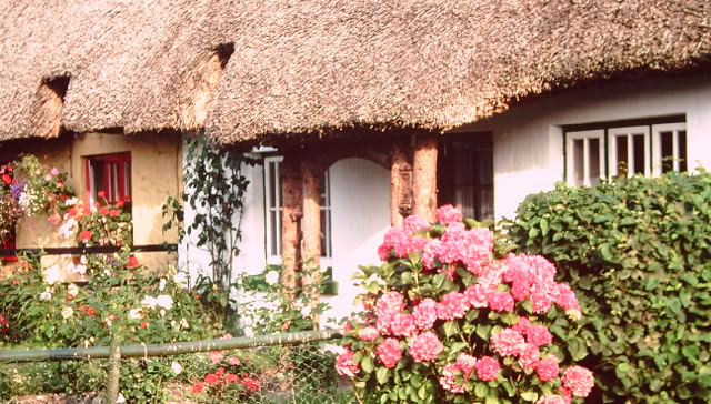 Adare. County Limerick. Irland 1995. Global Studies: Culture/Nature. Photo A.A.Bispo©