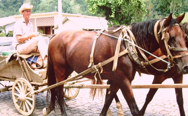 Santa Catarina 1973. Global Studies: Culture/Nature. Photo A.A.Bispo©
