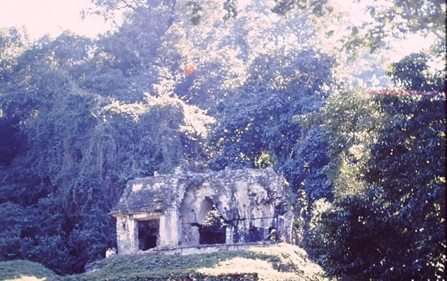 Palanque, Mexico. 1985. Global Studies: Culture/Nature. Photo: A.A.Bispo©