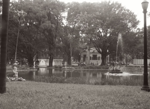 Jardim da Luz. São Paulo. Global Studies: Culture/Nature. Photo A.A.Bispo