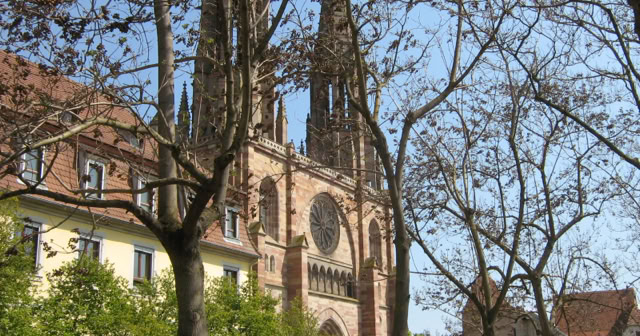 Obernai. Alsace 2009. Culture/Nature. Photo: A.A.Bispo©