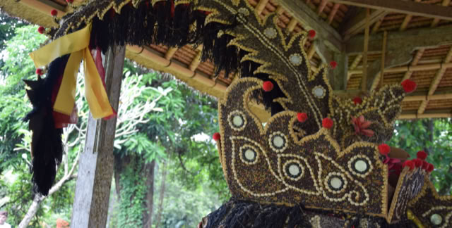 Bali 2017. Culture/Nature in Global Studies. Topic: Sunda Islands, Australasia & Brasil.