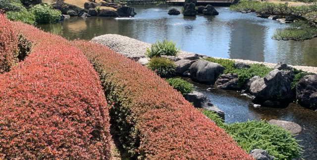 Shizuoka, Japan 2024. Culture/Nature - Global Studies Topic: The gardens of Shizuoka in international paisagism and floristry Photo © A.A. Bispo