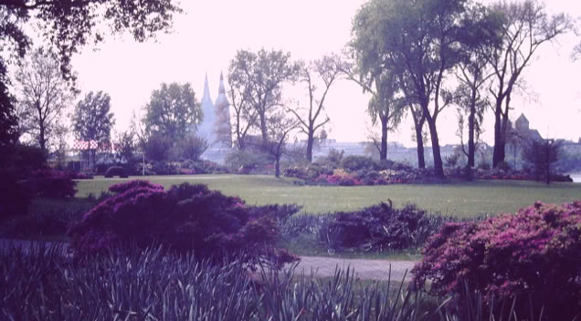 Cologne, Germany 1987. Global Studies: Culture/Nature. Photo A.A.Bispo©