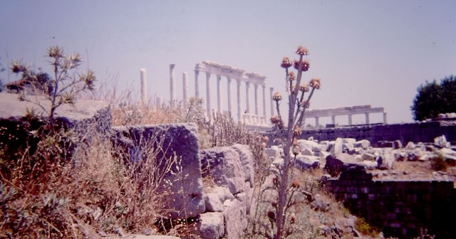 Pergamon.Türkiye 1986 Global Studies: Culture/Nature Photo: A.A.Bispo©