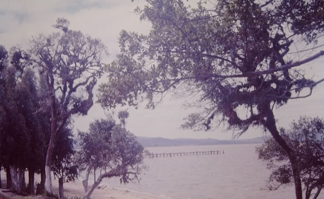 Rio Grande do Sul 1973. Global Studies: Culture/Nature. A.A.Bispo©