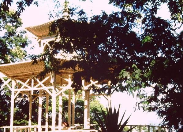 Rio de Janeiro 1978. Global Studies: Culture/Nature. Photo: A.A.Bispo©