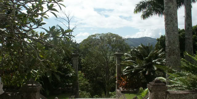 Sítio Burle Marx. Guaratiba, Rio de Janeiro. 2004. Global Studies: Culture/Nature. Photo: A.A.Bispo©