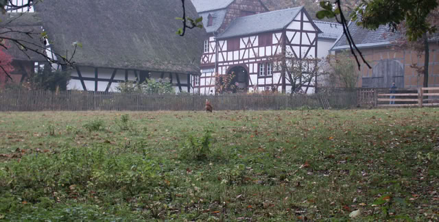 Kommern. Germany 2004. Global Studies: Culture/Nature. Photo: A.A.Bispo©