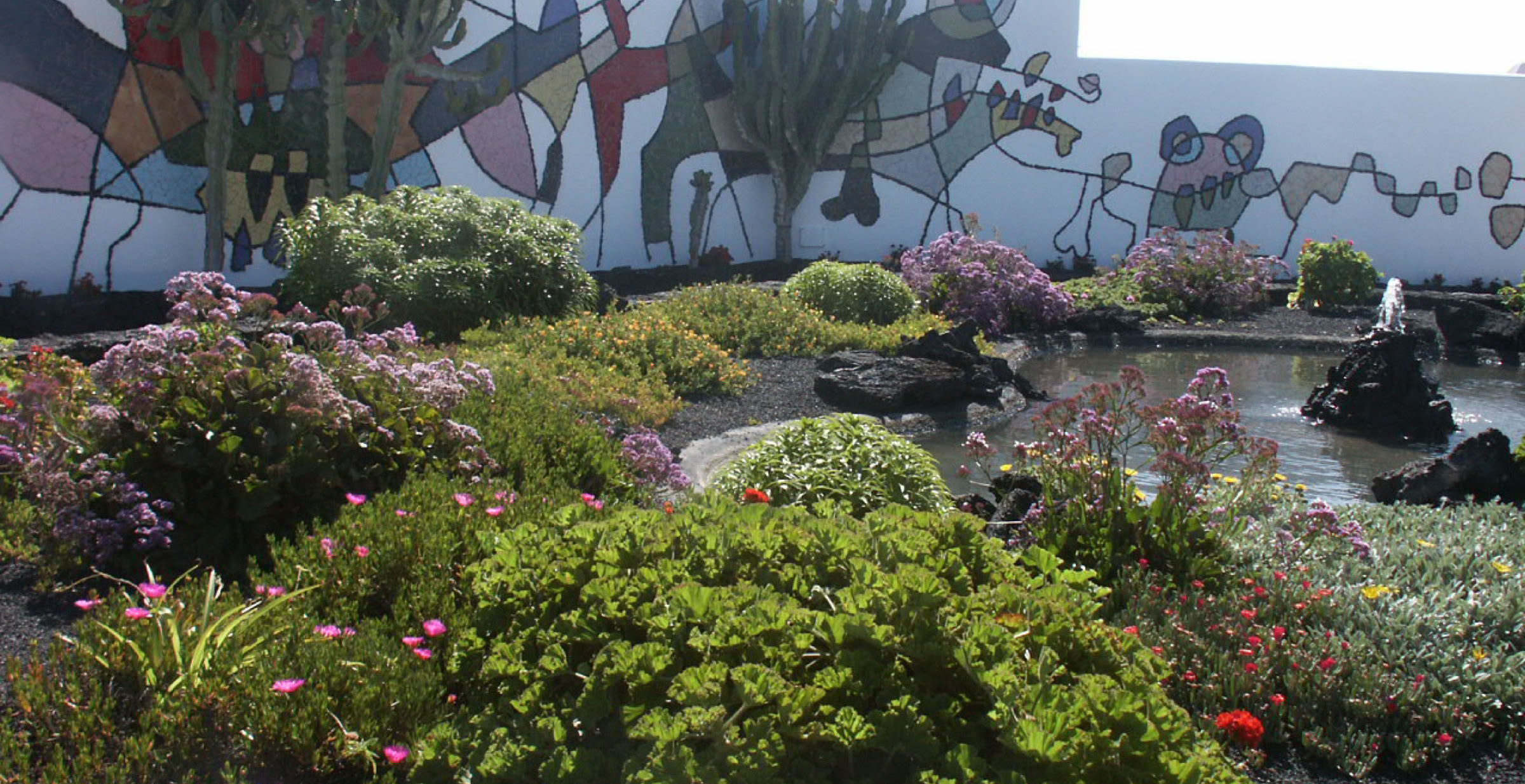 Lanzarote. Carany Islands. 2006. Culture/Nature. Photo A.A.Bispo©