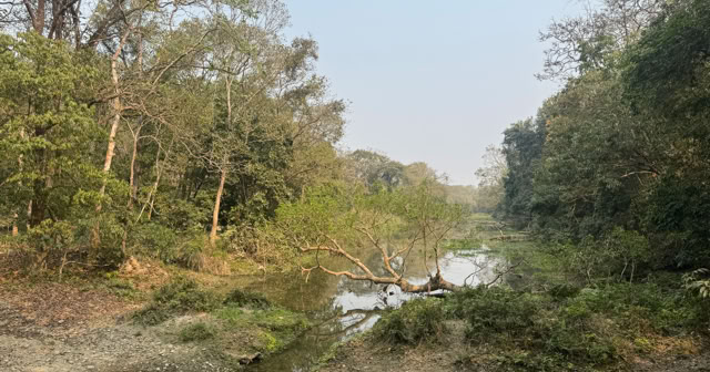 Chitwan National Park. Nepal 2025. Culture/Nature - Global Studies. Topic:Nature reserves in comparative studies from the perspective of Brazil