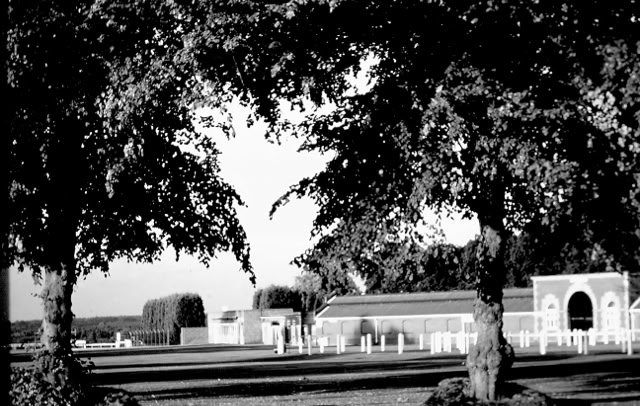 Ascot. 1988. Global Studies: Culture/Nature. Photos A.A.Bispo©