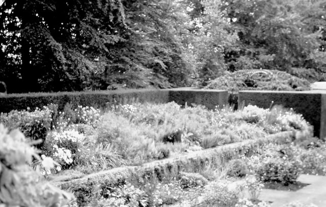 Castle Drofo. 1988. Global Studies: Culture/Nature. Photo: A.A.Bispo©