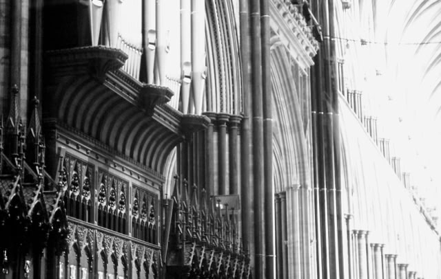 Salisbury 1988. Global Studies: Culture/Nature. Photos A.A.Bispo©