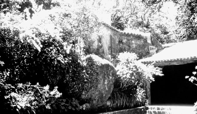 Peninha. Portugal 1996. Global Studies: Culture/Nature. Photo: A.A.Bispo©