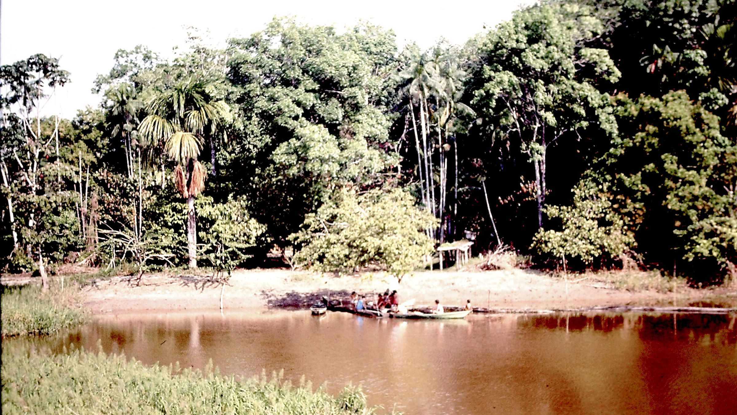 Amazonas near Santarém. 1993