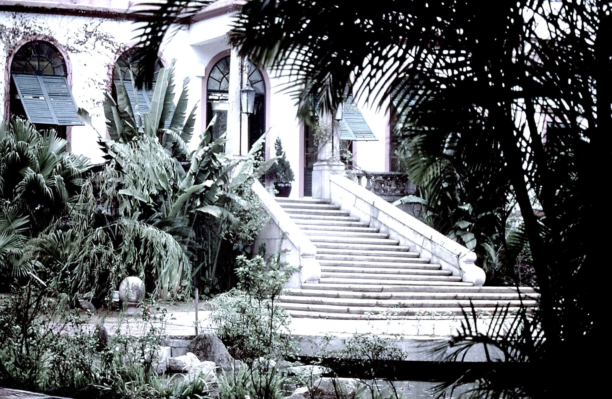 Buçaco. Portugal 1996. Global Studies: Culture/Nature. Photo (1996) A.A.Bispo©