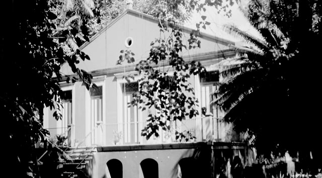 Belém. Pará 1993. Global Studes: Culutre/Nature. Photo A.A:Bispo©