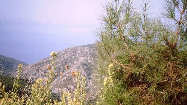 Rhodos Greece. 1984. Global Studies: Culture/Nature. Photo A.A.Bispo©