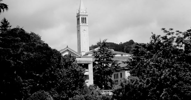 University of California, Berkeley. 2000. Global Studies: Culture/Nature. Photo: A.A.Bispo©