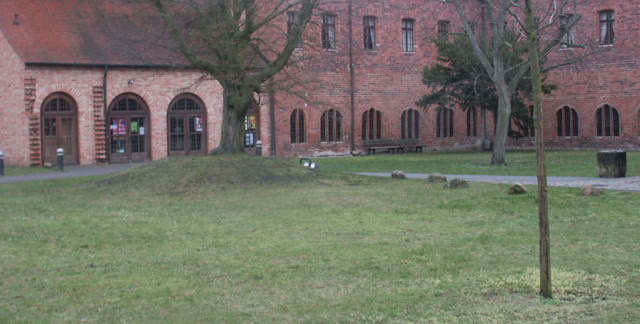 Stendal. Altmark. Germany 2007. Culture/Nature. Photo A.A.Bispoi©