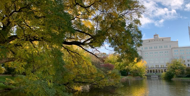 Leipzig. Germany 2023. Culture/Nature - Global Studies. Photo A.A.Bispo©