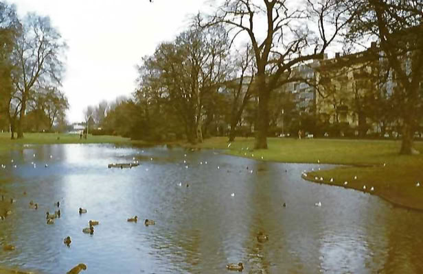 Cologne. 1980. Global Studies: Culture/Nature. Photo: A.A.Bispo©