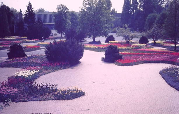 Cologne. Germany 1979. Global Studies: Culture/Nature. Photo: A.A.Bispo©