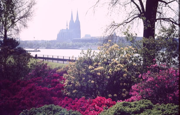 Cologne. Germany 1979. Global Studies: Culture/Nature. Photo: A.A.Bispo©