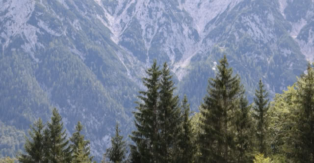 Mittenwald. Bavaria 2020. Culture/Nature - Global Studies. Photo A.A.Bispo©