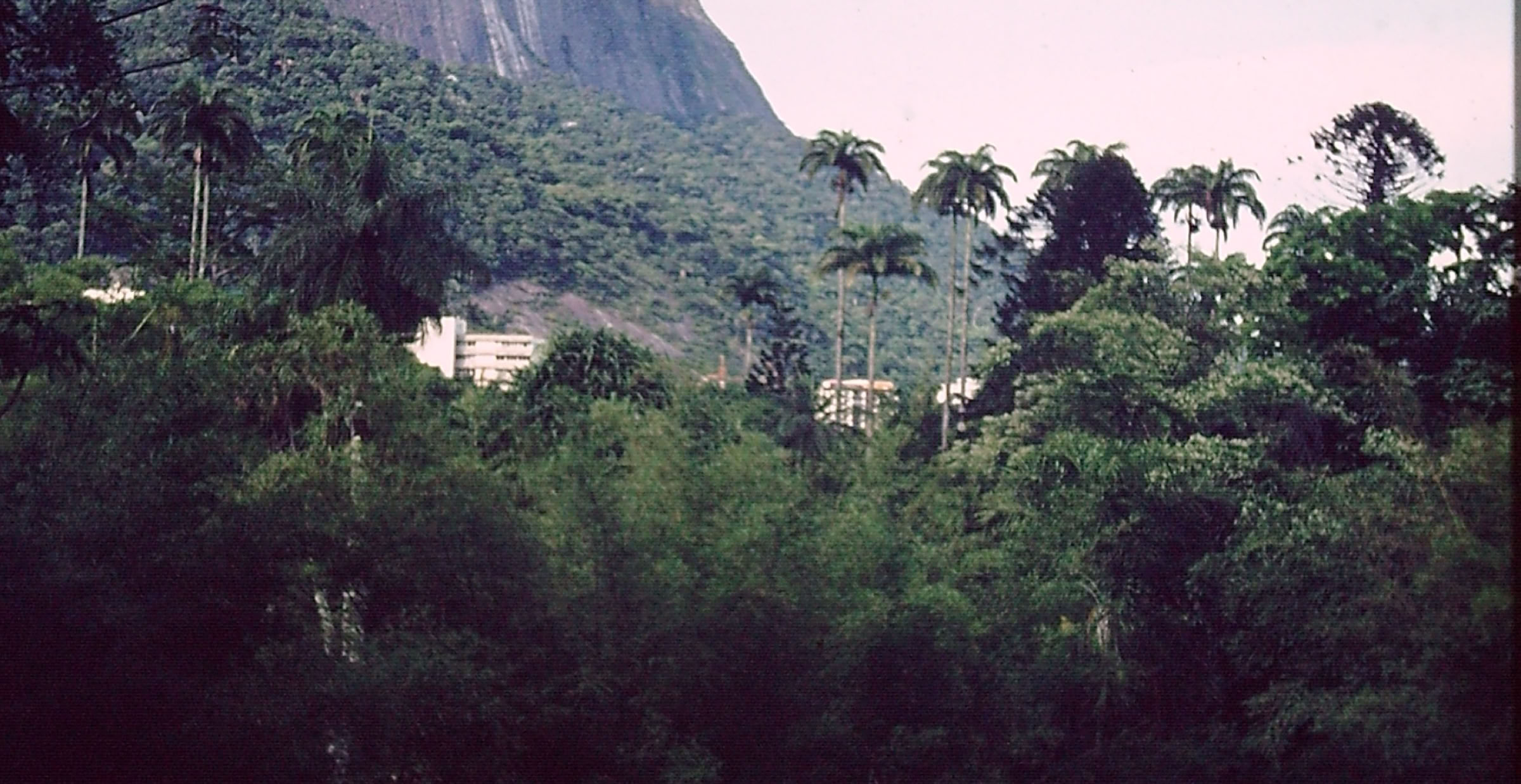 Rio de Janeiro. Jardim Botânico 1992