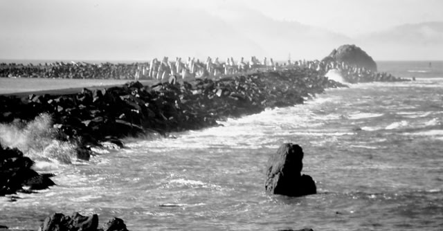 Crescent City. California 2000. Global Studies: Culture/Nature. Photo: A.A.Bispo©