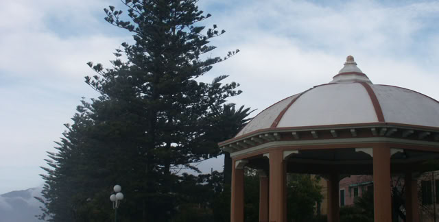 Bordighera. Italy. 2006. Culture/Nature. Photo: A.A.Bispo©