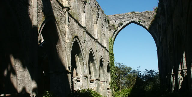 Abbay de Beauport. Bretagne 2008. Culture/Nature. Photo: A.A.Bispo©