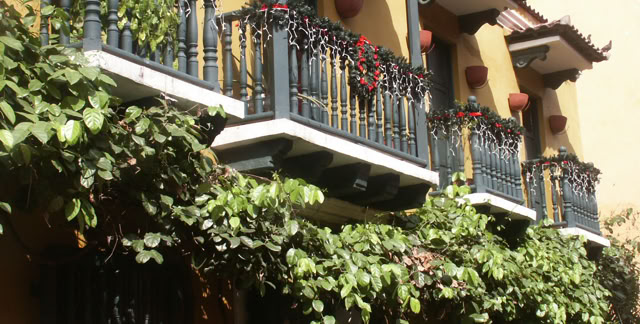 Cartagena de las Indias. Columbia 2008. Culture/Nature. Photo: A.A.Bispo©