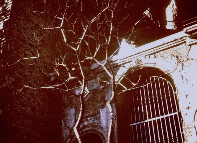 Berlin. Germany 1975. Global Studies: Culture/Nature. Photo A.A.Bispo©