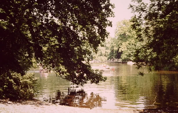 Cologne. Germany 1979. Global Studies: Culture/Nature. Photo: A.A.Bispo©