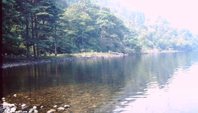 Ring of Kerry. Irland 1995. Global Studies: Culture/Nature. Photo A.A.Bispo©